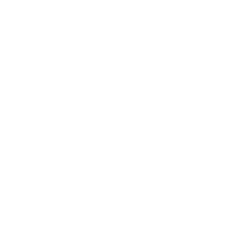 Best Cozumel